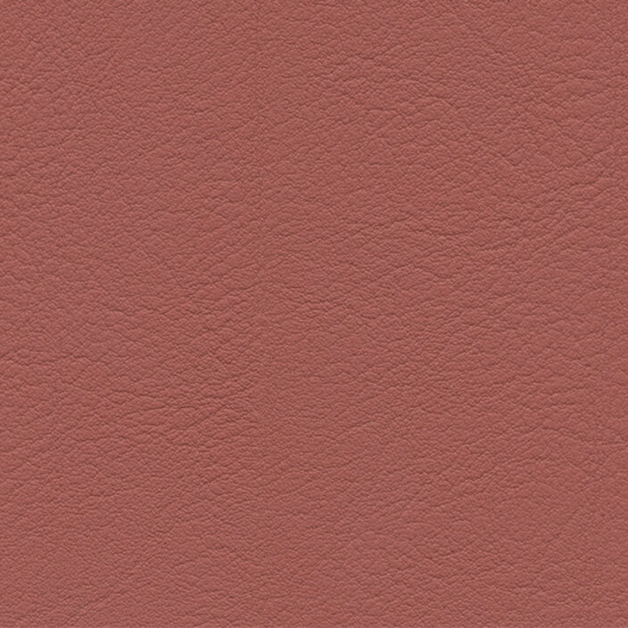 Evida Marsala