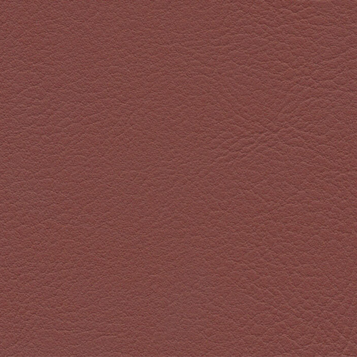 Evida Merlot
