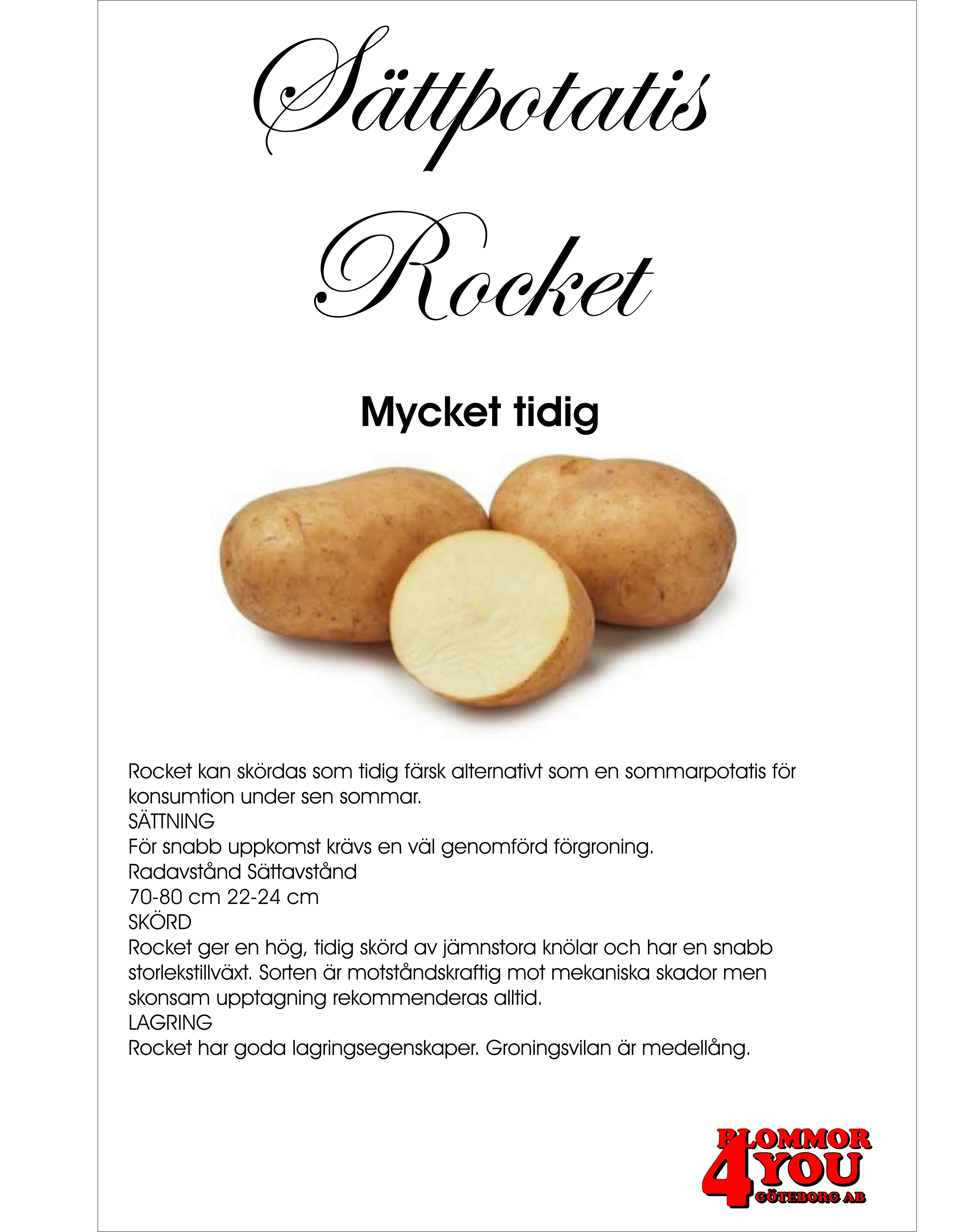 Sättpotatis Rocket  3 Kilo