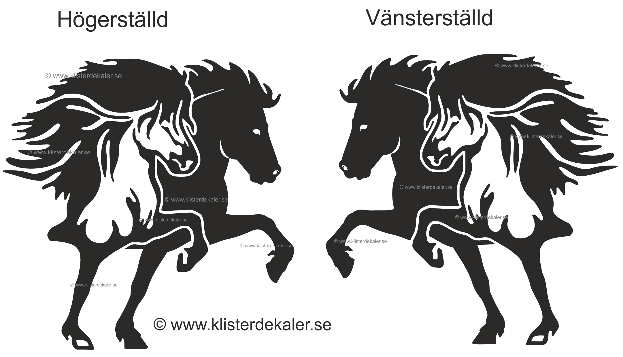 Bil och transportdekal dubbla islandshästar