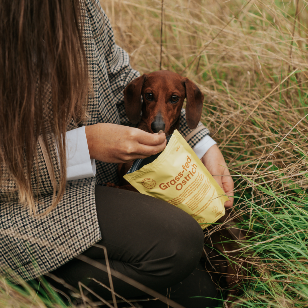 Buddy Hundgodis Grass-fed Ostrich Struts 200g - 3