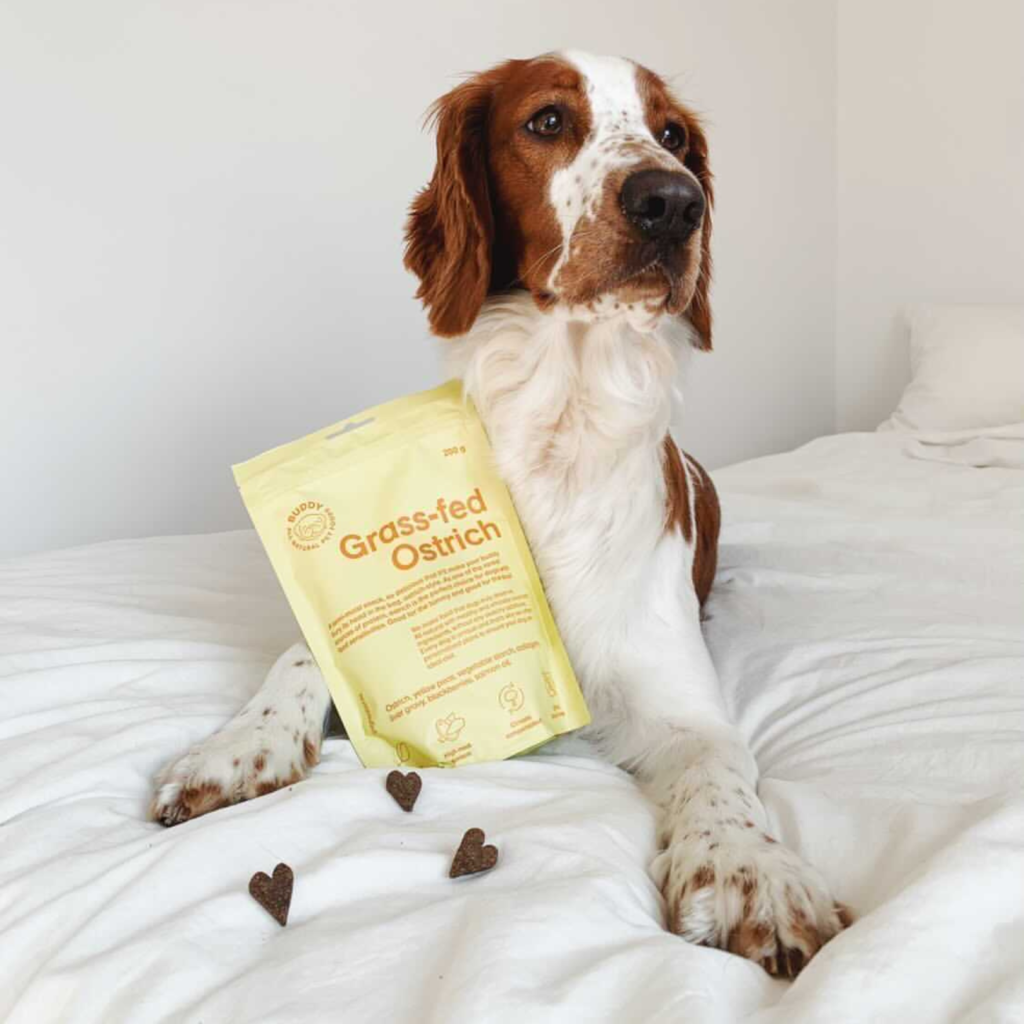 Buddy Hundgodis Grass-fed Ostrich Struts 200g - 4
