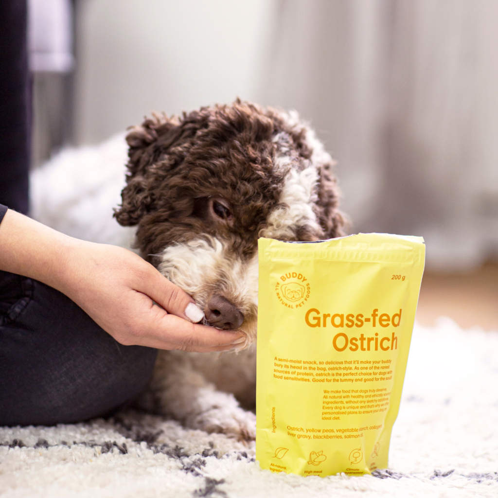 Buddy Hundgodis Grass-fed Ostrich Struts 200g - 6