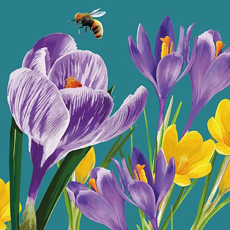 Crocus & Bee, Dubbelvikt Kort