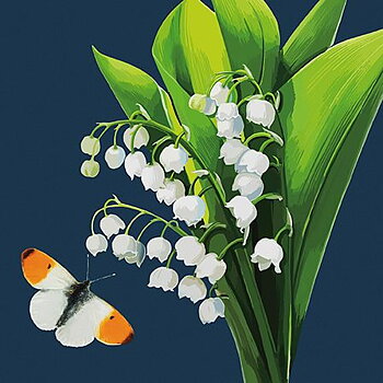 Lily Of The Valley, Dubbelvikt Kort
