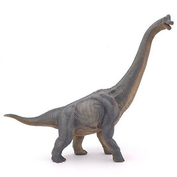 Brachiosaurus