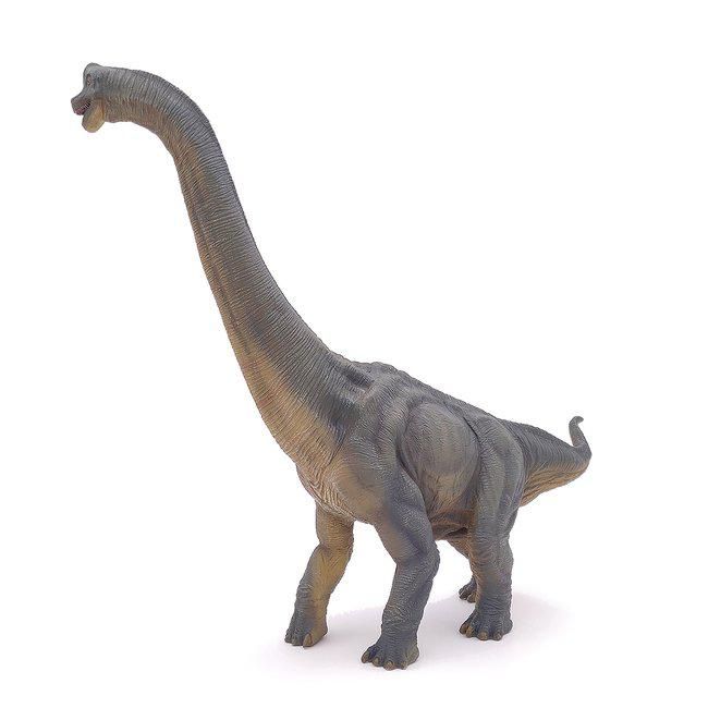 Brachiosaurus - 3