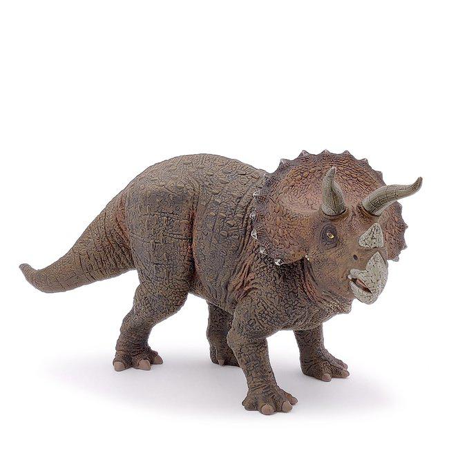 Triceratops