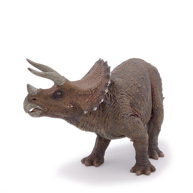 Triceratops - 3