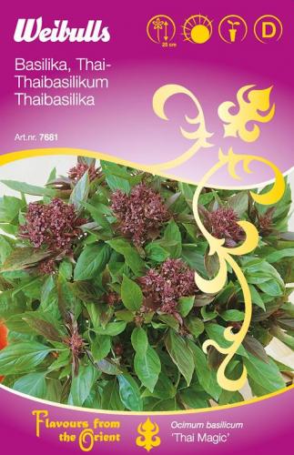 7681 Basilika, thai (lila)   Ocimum basilicum