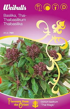 7681 Basilika, thai (lila)   Ocimum basilicum