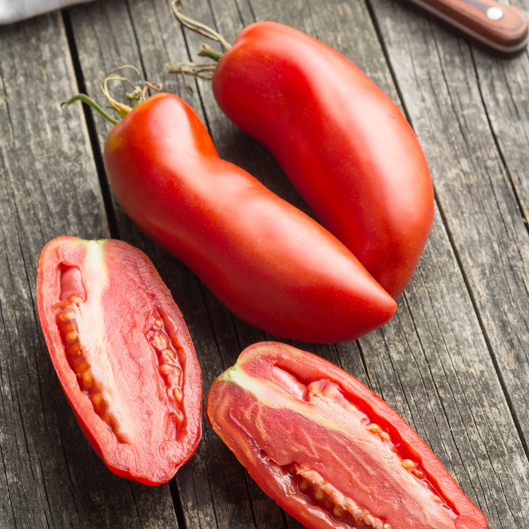 Plommontomat - San Marzano P4