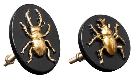 Knopp Stag beetle & friend