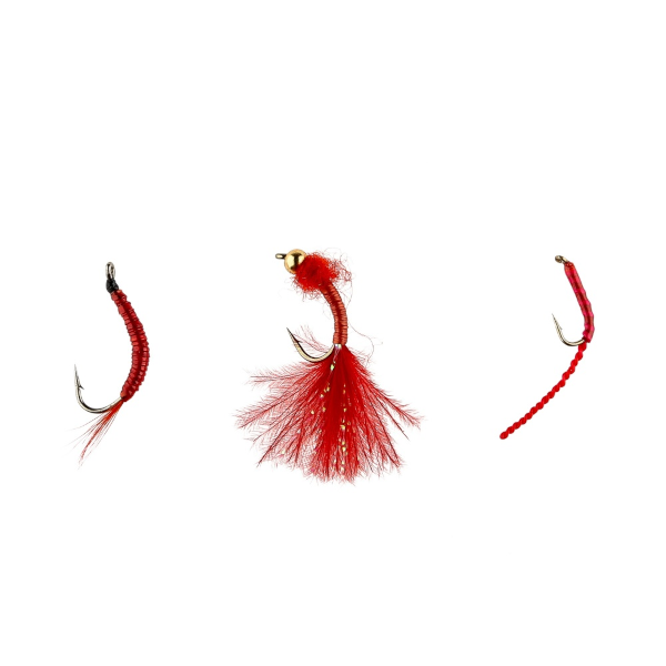 Bloodworms