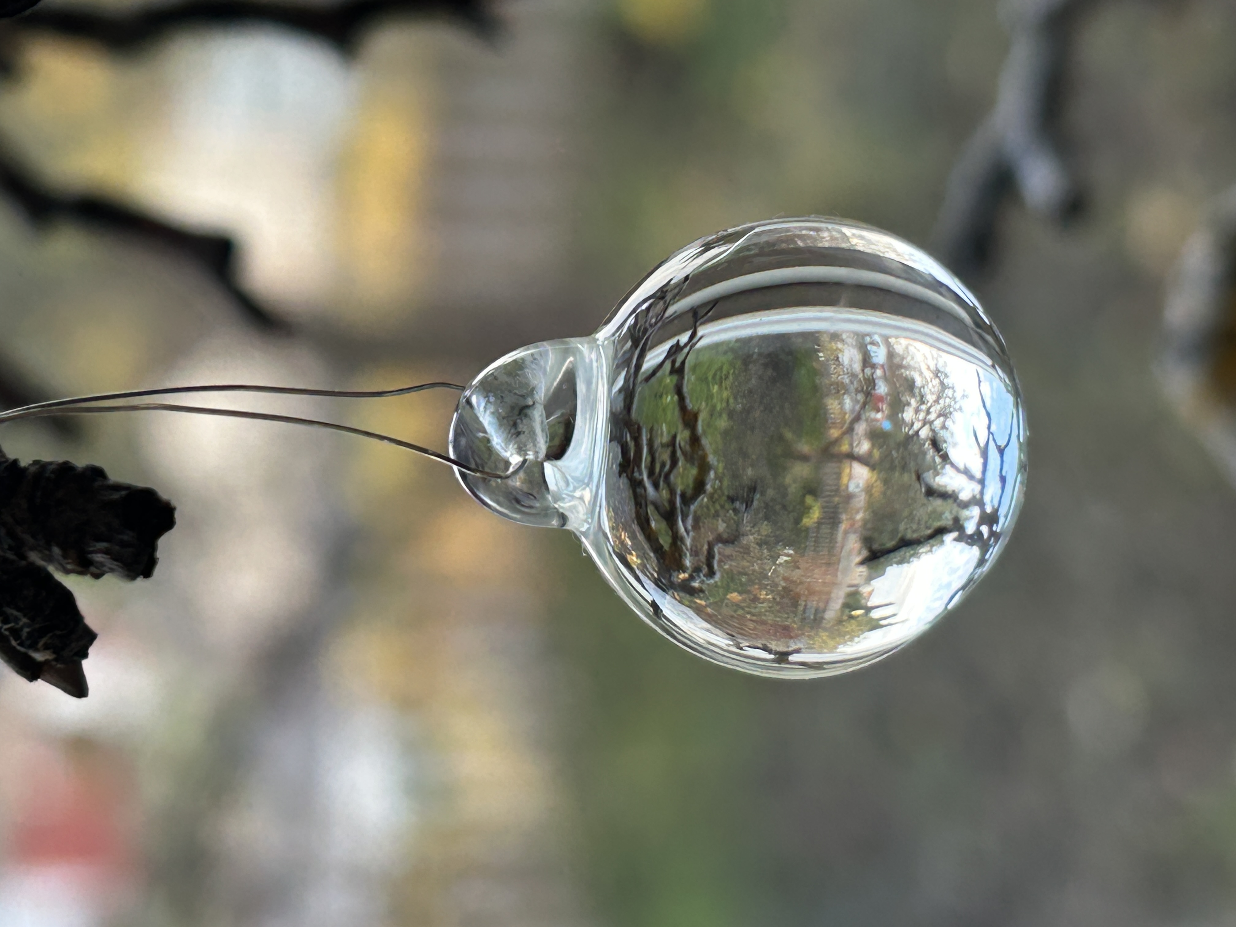 Glaskula ofärgad 20 mm