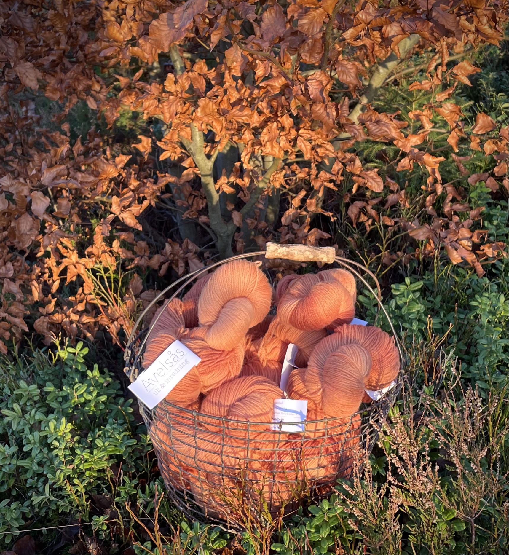 Boklöv in autumn 2-thread Jämtlandsgarn - 2