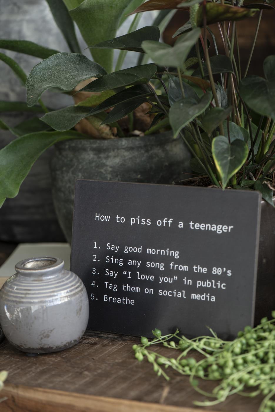 IB Laursen Plåtskylt - How to piss off a teenager - 2