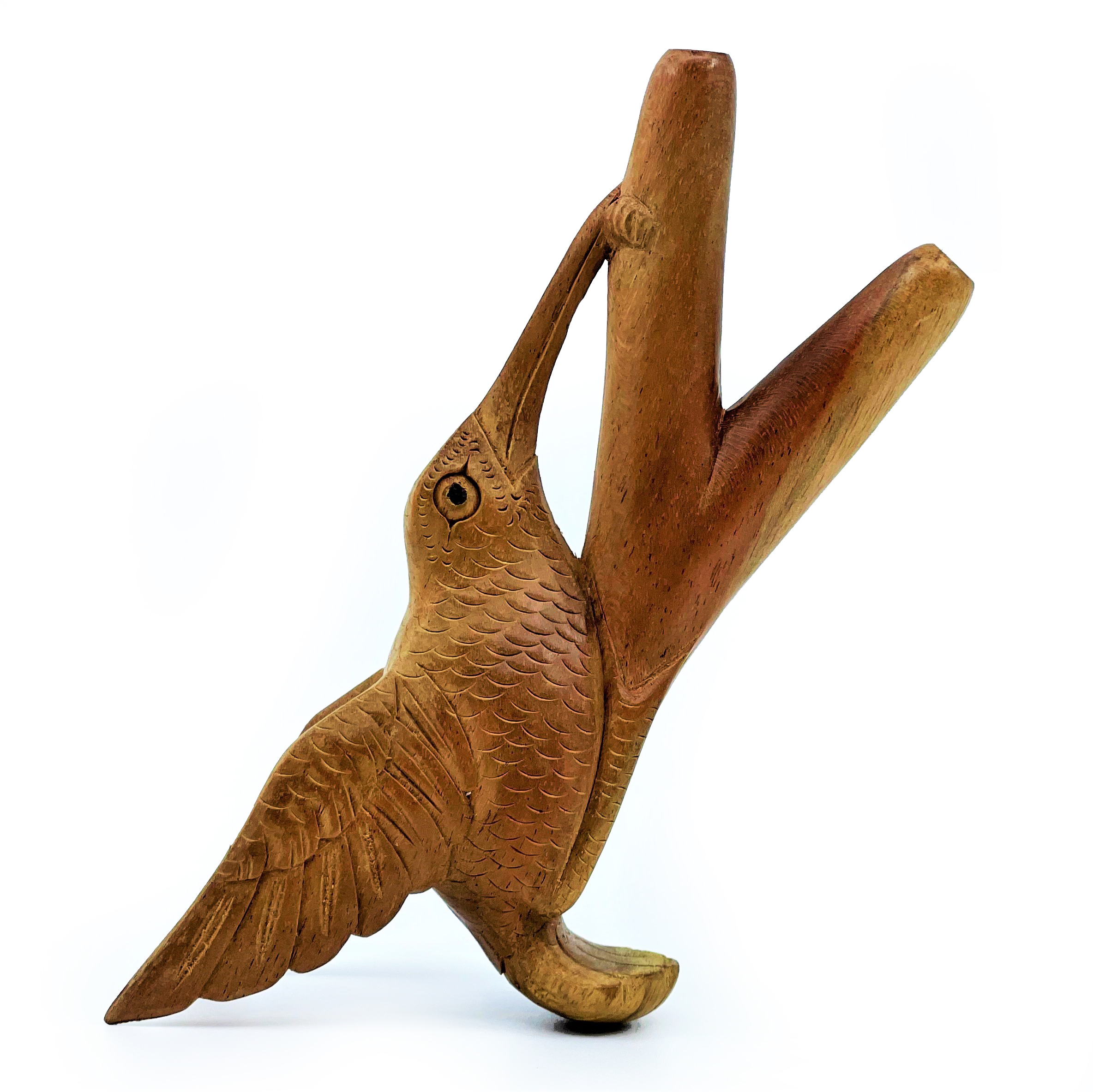 Kolibri-kuripe - Waru-trä