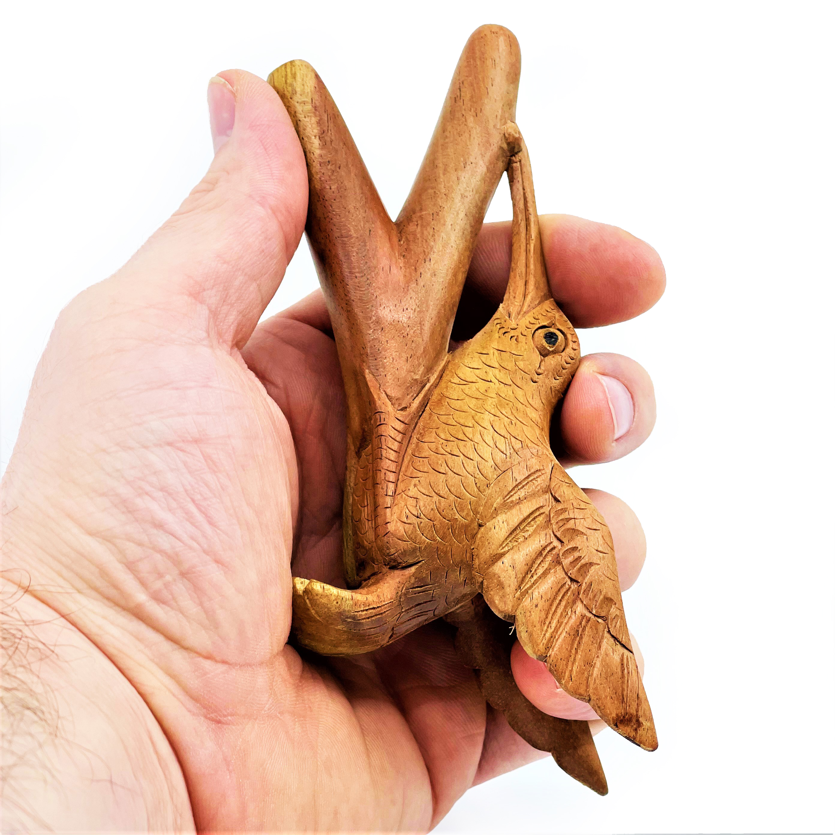 Kolibri-kuripe - Waru-trä