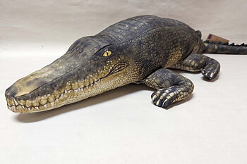 Krokodil Saltvatten 118x32 cm