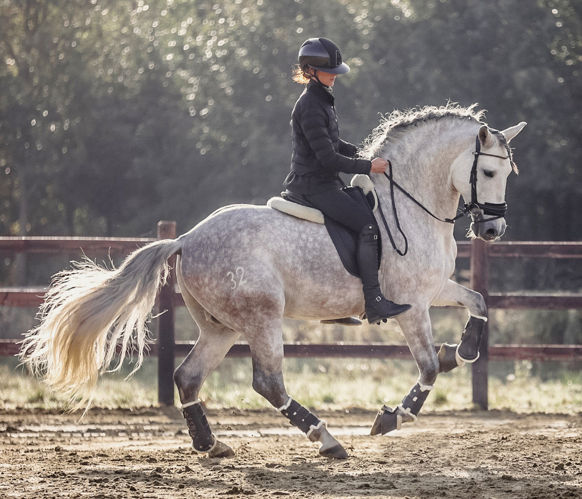 211. LaBona  Alizeé - Bareback pad  - 5