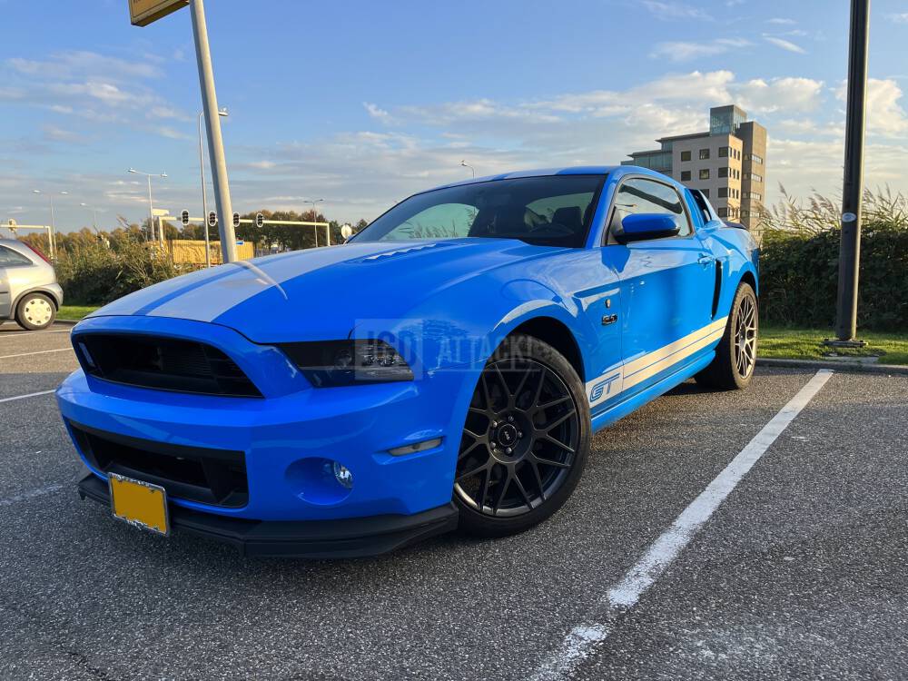 SHELBY GT500 Style Stötfångar kitt - Fram (MUSTANG 10-12 GT500, 13-14 All) - 6