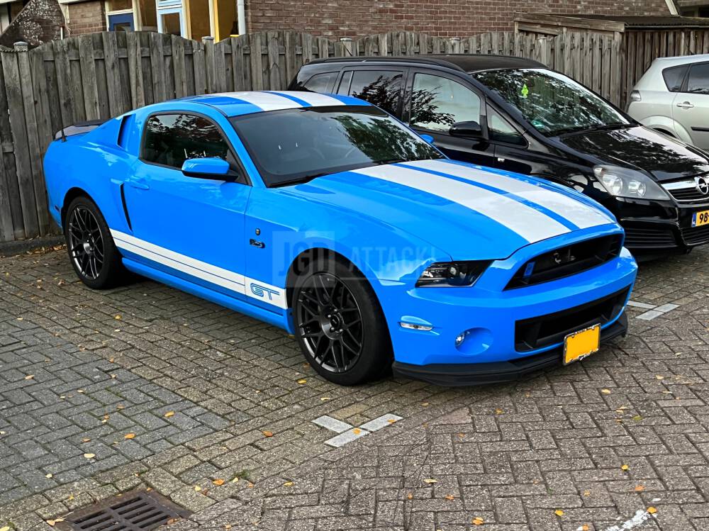 SHELBY GT500 Style Stötfångar kitt - Fram (MUSTANG 10-12 GT500, 13-14 All) - 5