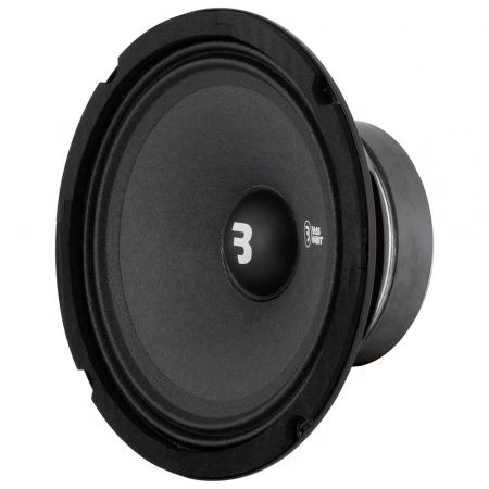 Bass Habit SP165M - 3