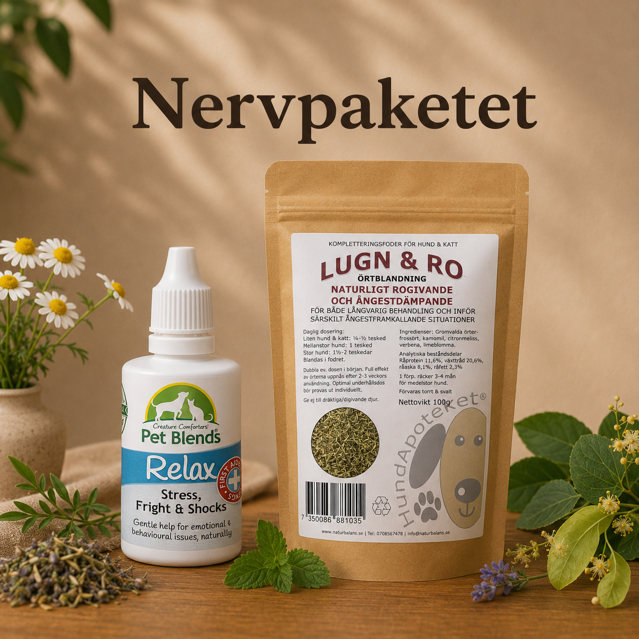 NERVPAKETET