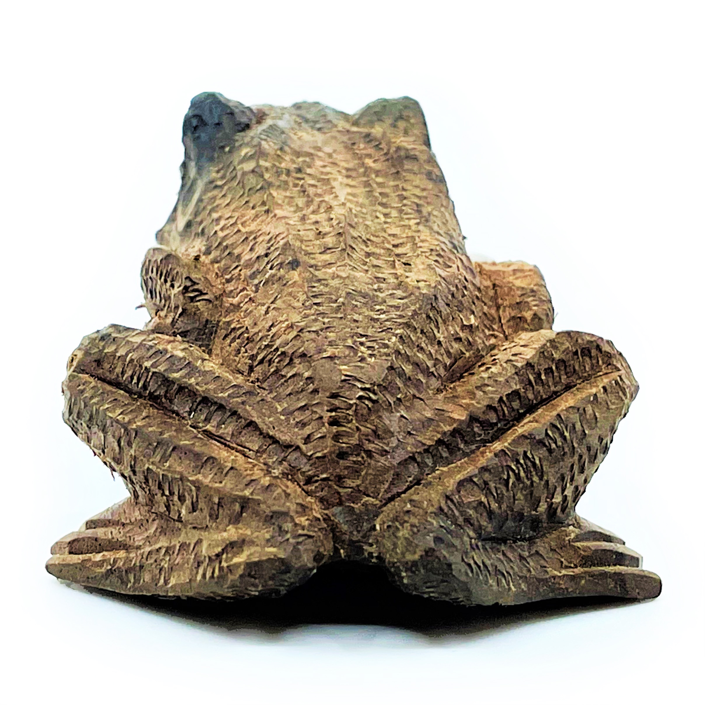 Bufo-kuripe - Waru - 6