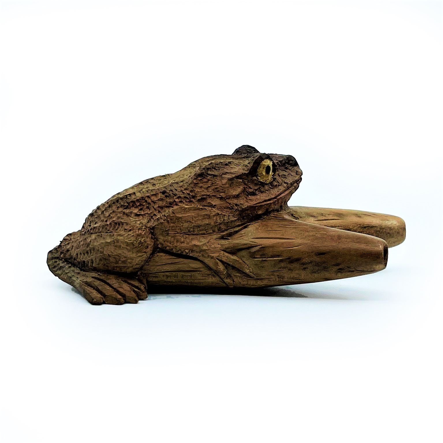 Bufo-kuripe - Waru - 7