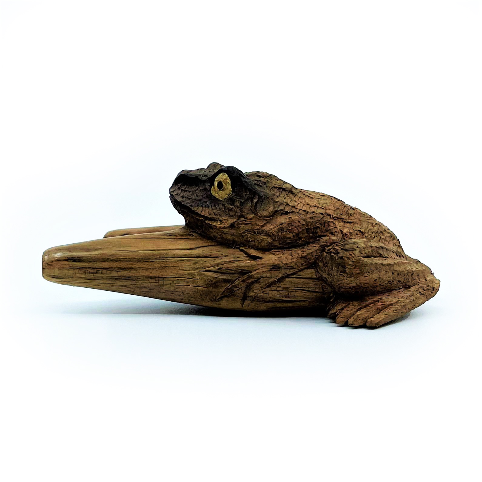 Bufo-kuripe - Waru - 5