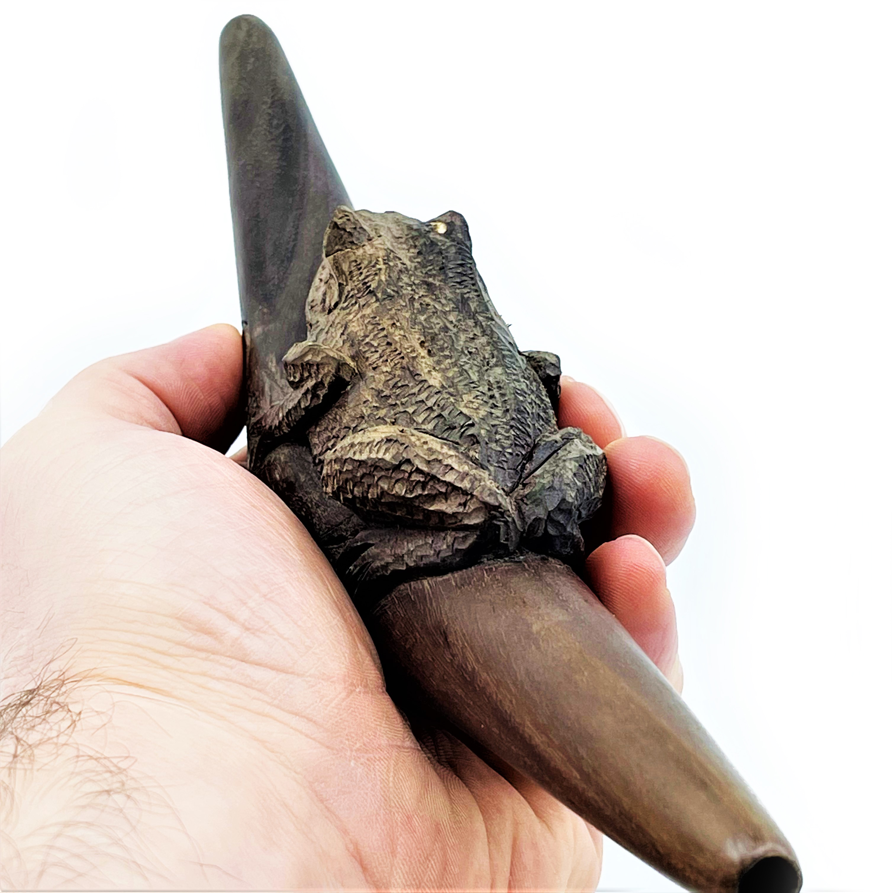 Bufo-tepi- Waru - 3