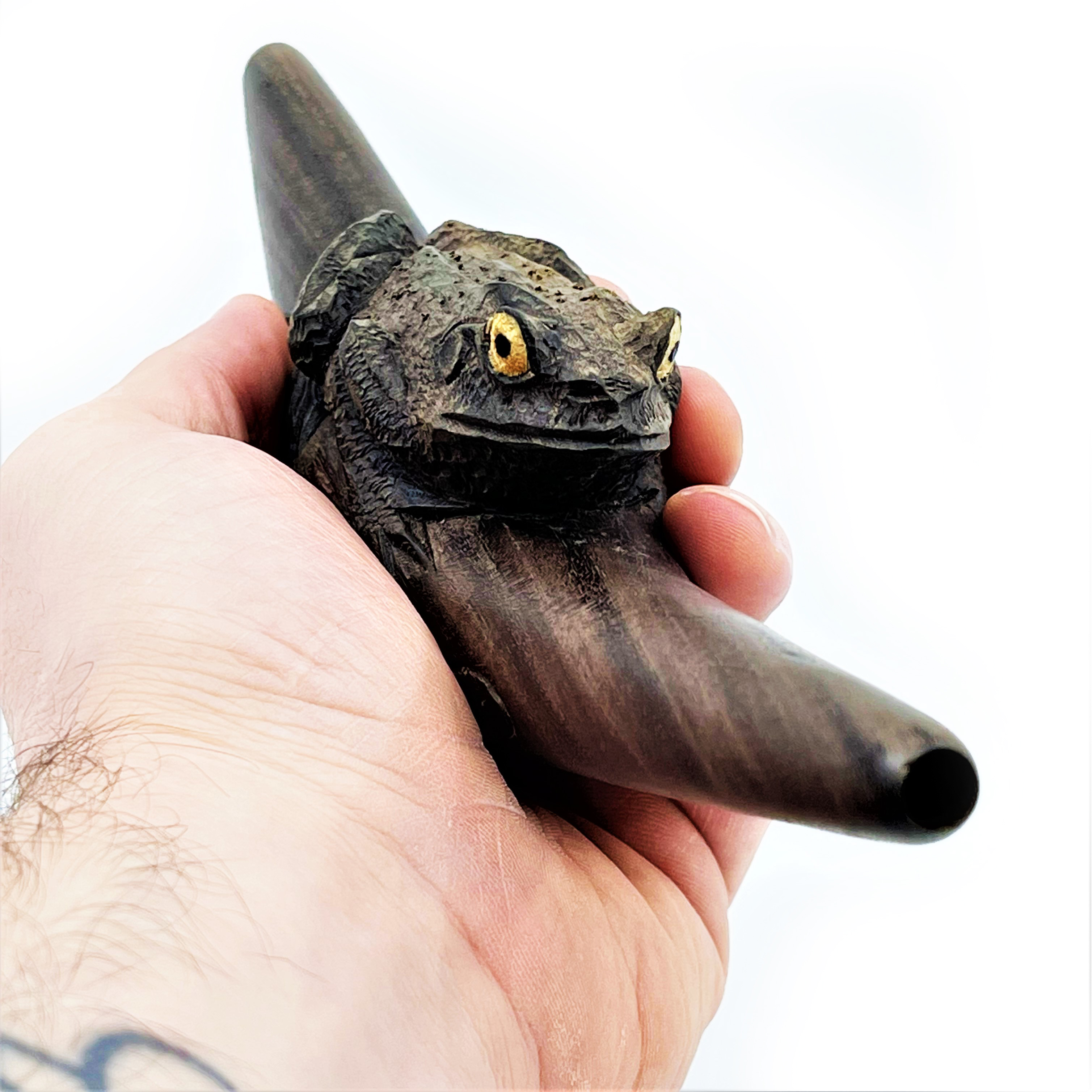 Bufo-tepi- Waru - 4