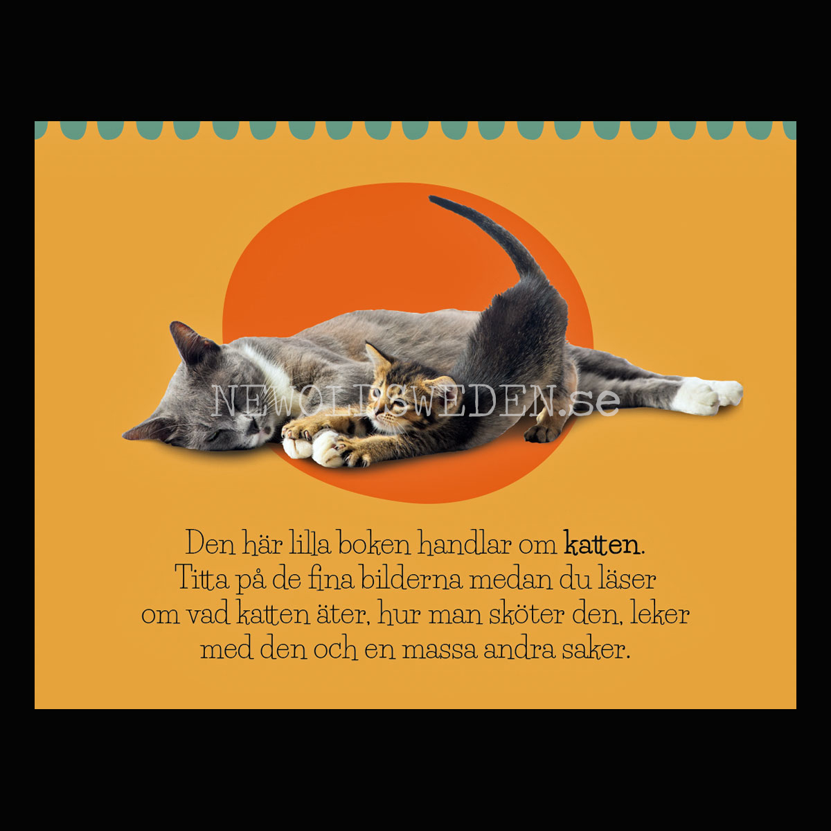 Mina djurvänner KATTEN - KÄRNAN MINIBÖCKER - MB206 - 3