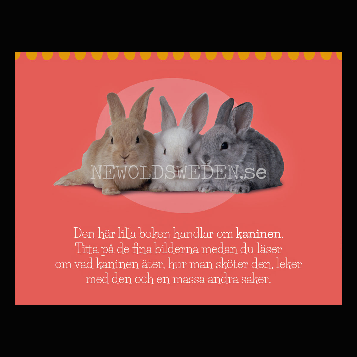 Mina djurvänner KANINEN - KÄRNAN MINIBÖCKER - MB206 - 3