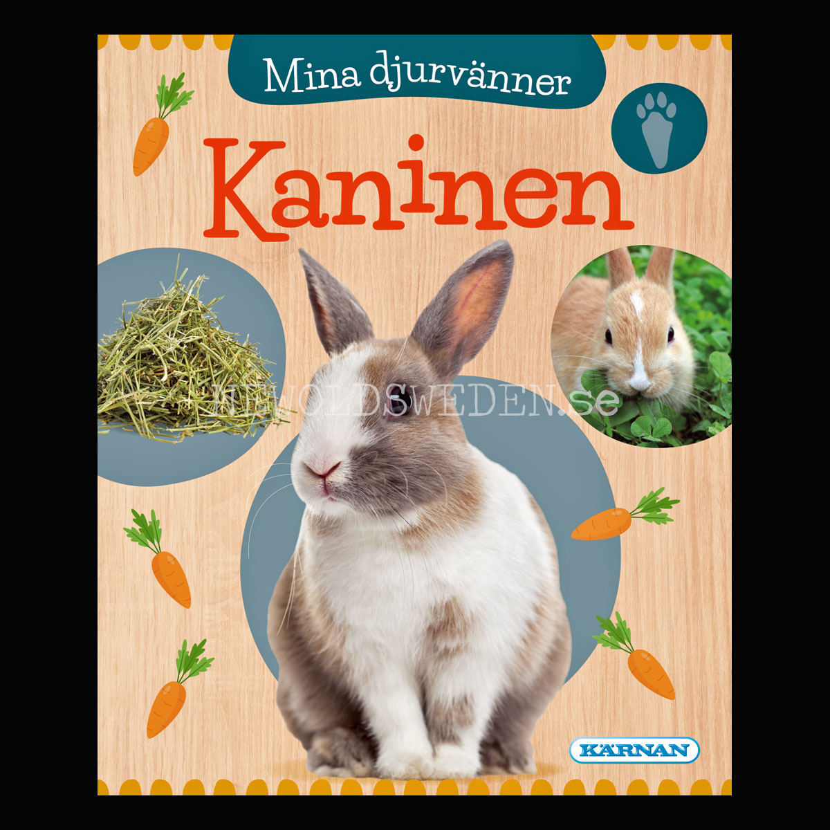 Mina djurvänner KANINEN - KÄRNAN MINIBÖCKER - MB206