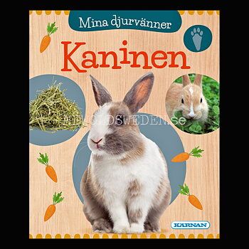 Mina djurvänner KANINEN - KÄRNAN MINIBÖCKER - MB206