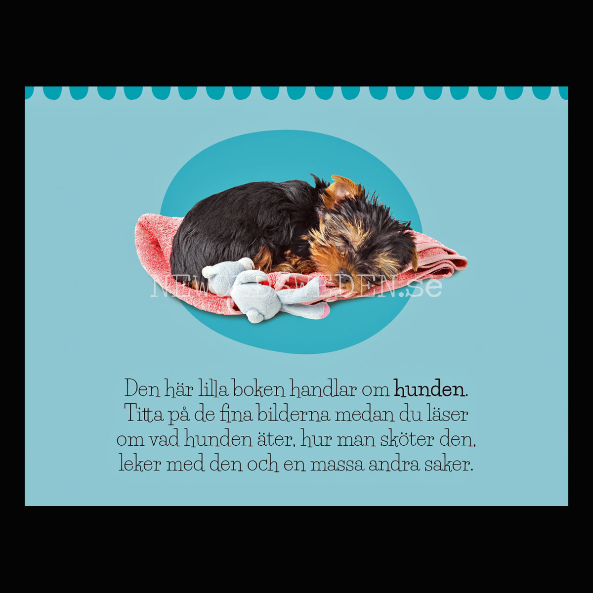 Mina djurvänner HUNDEN - KÄRNAN MINIBÖCKER - MB206 - 3