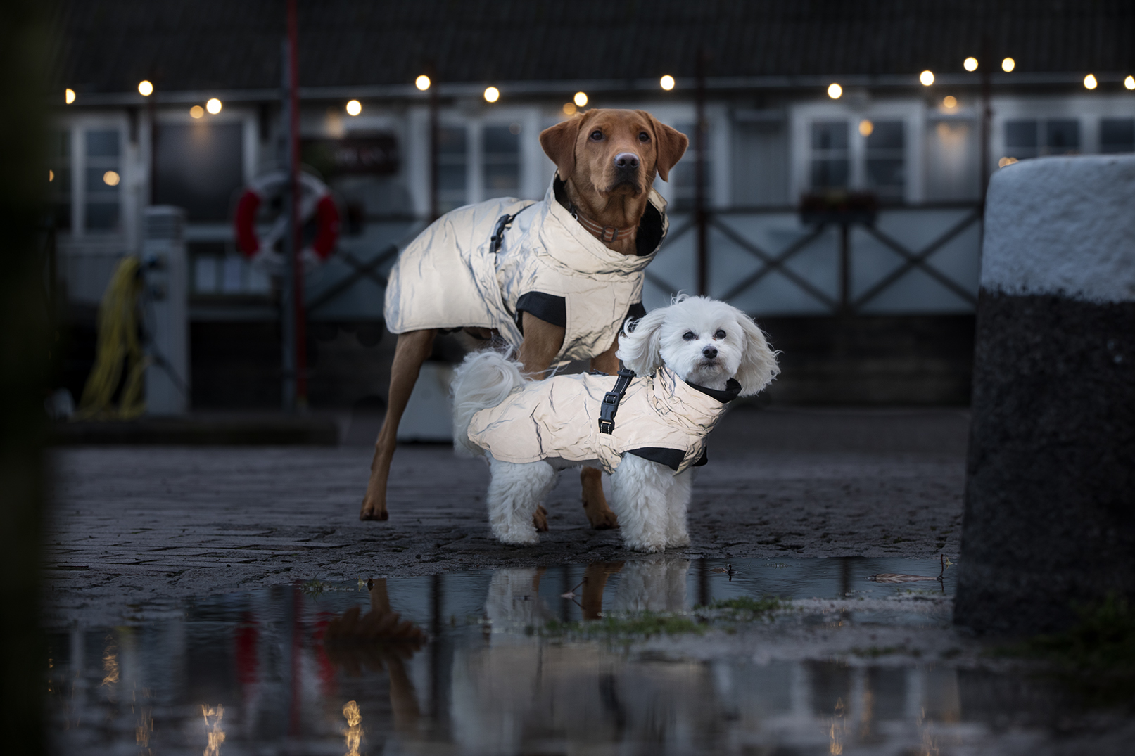 Dogman Reflextäcke Roffe Light - 3