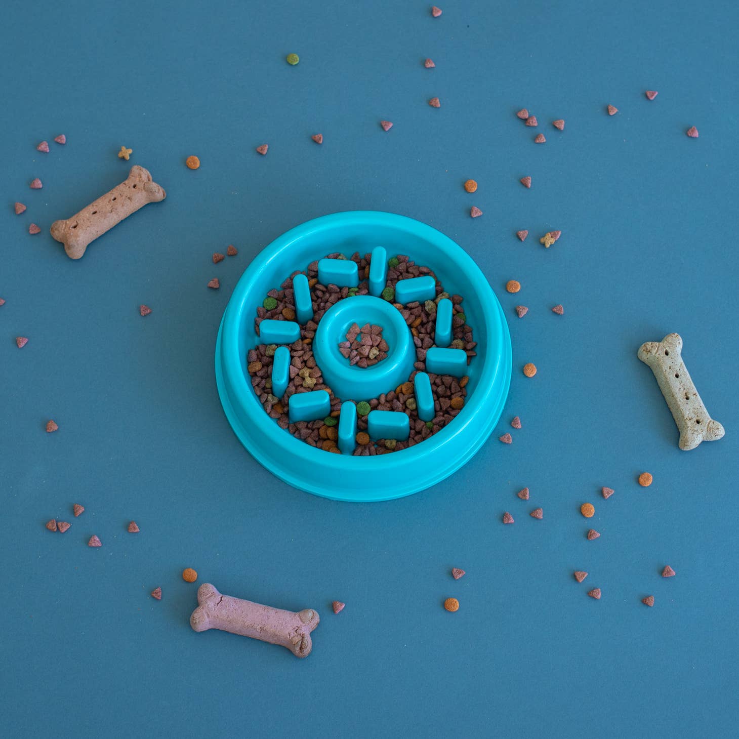 Zippypaws Happy Bowl - Donut - 2