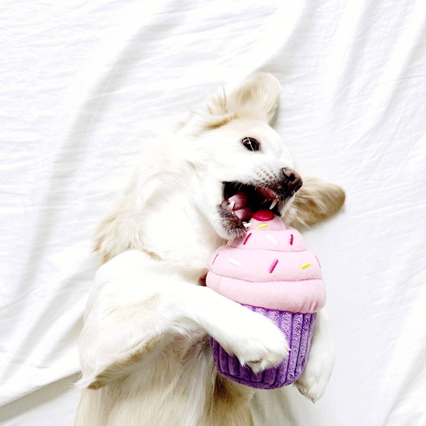 Zippypaws Cupcake Pink - 2