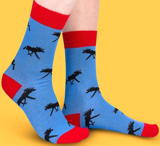 Swedish Tourist Socks