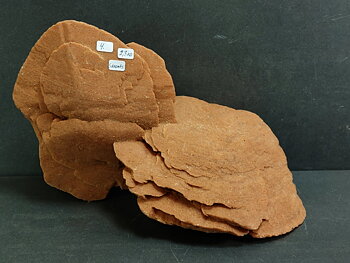 Ökenros (Sandros) - Selenit - 2,3kilo