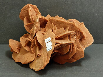 Ökenros (Sandros) - Selenit - 1,5kilo