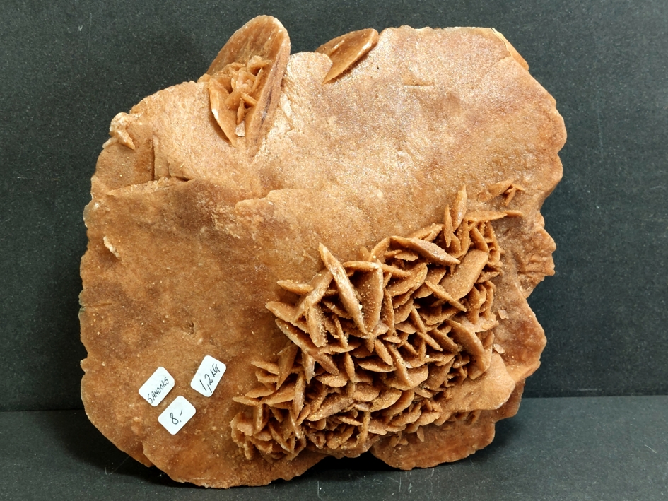 Ökenros (Sandros) - Selenit - 1,2kilo