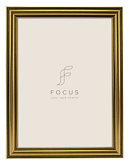 Focus Holly Gold