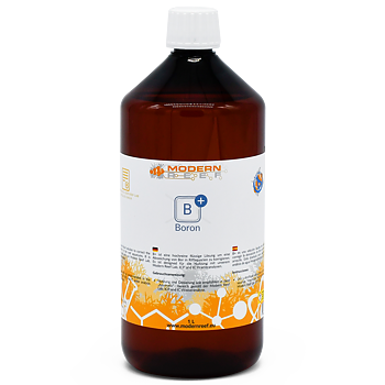 Modern Reef B+ 1000ml