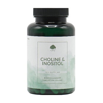 Kolin & Inositol G&G Vitamins 120 kapslar