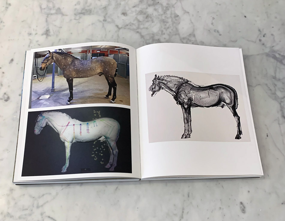 Tove Kjellmark: The Horse, the Robot & the Immeasurable  - 7